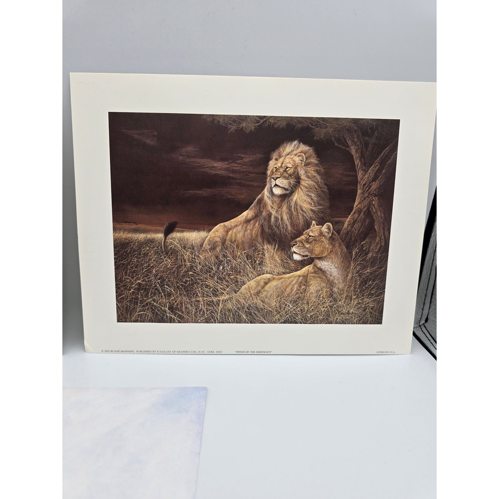 Ruane Manning Wildlife Art Prints Lion Tiger‎ Set Litho USA - Picture 2 of 11